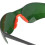 Hellgrüne Schweißerbrille aus PC-Nylon, Einheitsgröße 5