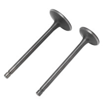 Exhaust Intake Valve Kit Black Exhaust Intake Valve Set Replacement for XG250 TRICKER 2004‑2017