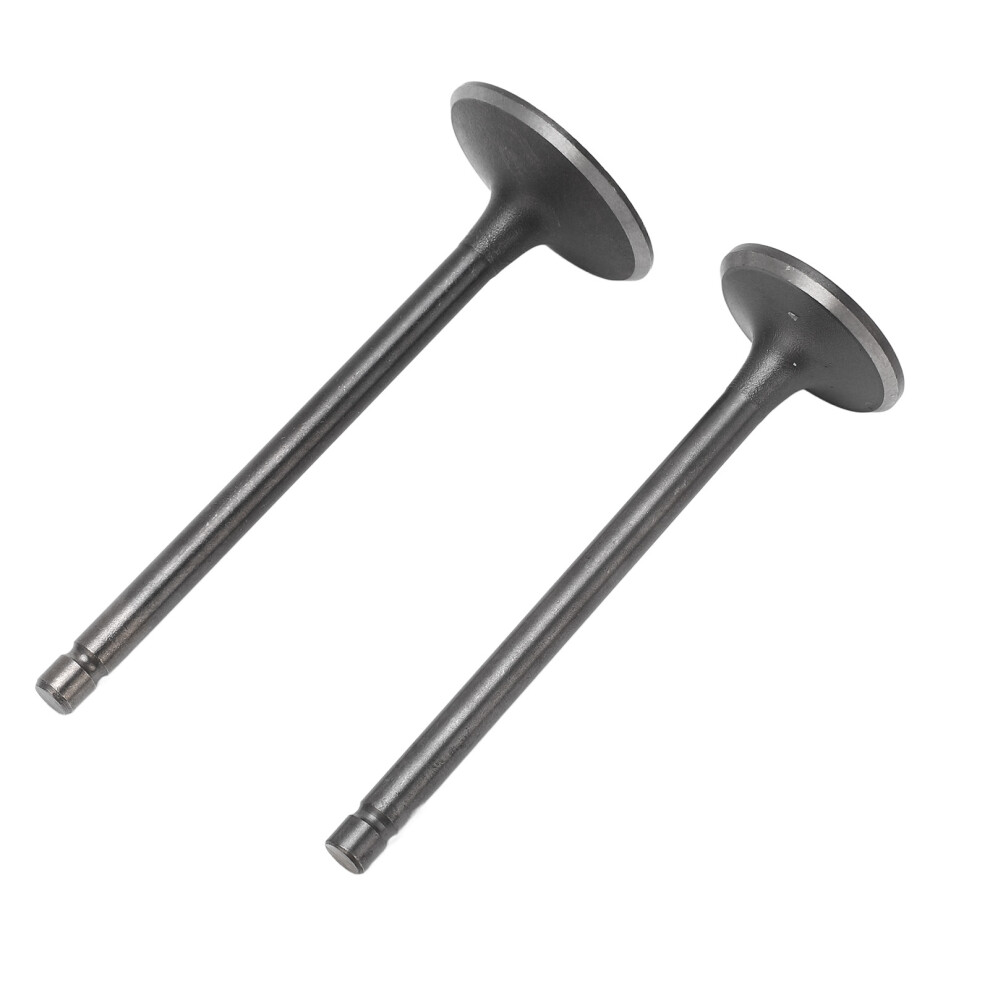 Exhaust Intake Valve Kit Exhaust Intake Valve Set Replacement For Xg250 Tricker 2004Â2017 Black 9421320693306