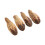 5 bolsas de nueces para masticar para loros, nueces secas para loros 3