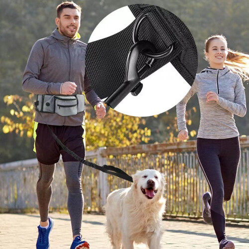 Pet Training Waist Pouch Bag Polyester Multiple Pockets Removable Snack Bag for Outdoor Grey