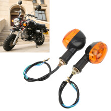 Z50 Z50A Z50J Z50R Blinkleuchte - 1 Paar, M10