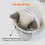 Katzen-Maulkorb Größe M, Transparent Baumwolle/PVC 8