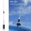 Autoradioantenne 100 W 285 mm 144/430 MHz Männlich 10