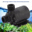 30 W Polysilizium-Solarpumpe-Set 43,5  20 cm 5