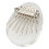 Crystal Kalimba mini de 8 teclas con cordón 10