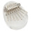 Crystal Kalimba mini de 8 teclas con cordón 16