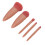 5-teiliges pinkes Make-up-Pinsel-Set - Lidschatten, Spiegel-Set 16