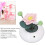 1:12 Mini-Puppenhaus Topfpflanze Blume 3733 mm 9