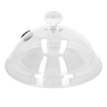 Rauch-Dome-Abdeckung 199g 160x100mm Transparent