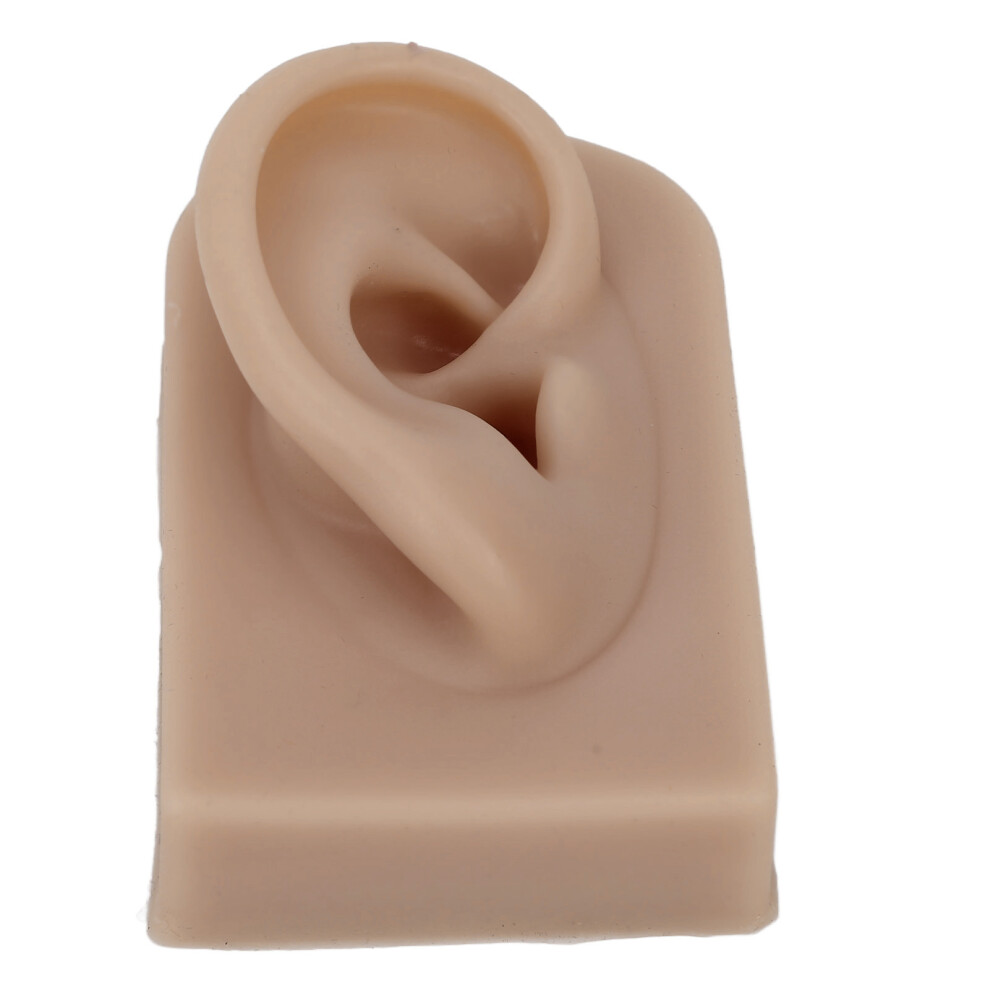 Silicone Ear Model Soft Flexible Right Ear Reusable Human Ear Model for Ear Piercing Training And Earrings Display Brown
