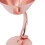 150 ml Edelstahl-Martini-Glas Roségold 12
