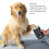 Lavapatas para mascotas 18650 2000mAh USB recargable S-M 10