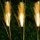 Reed Solar LED Gartenleuchten 90cm Warm 600mAh 3