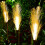 Reed Solar LED Gartenleuchten 90cm Warm 600mAh 6