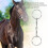 Bocado de snaffle de aro libre de acero inoxidable 125mm 290x80mm 11