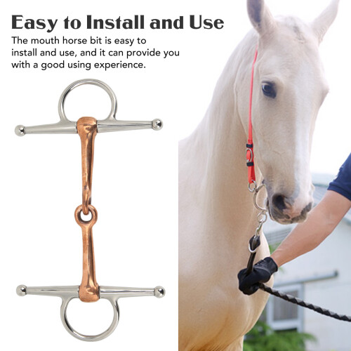 Vollbacken-Snaffle-Gebiss mit Ring 125mm Silber 11,5 Unzen 2