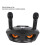 Wireless Microphone System Dual Professional Home KTV Innovative Owl Wireless Karaoke Mic System 12