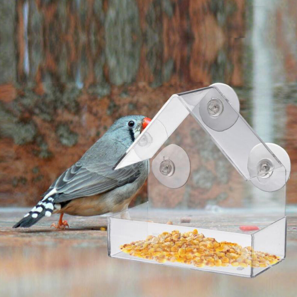 Clear Glass Window Bird Feeding Window Bird Feeders Clear Acrylic Glass Window Bird Feeder