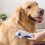 Electric Dog Flea Comb Pet Flea Fly Trap Comb Fleas Removal Tool 5