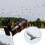 Universal HD 12x Optical Zoom Camera Telescope Lens With Clip For iPhone 12