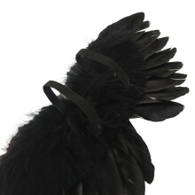 Modell Mini Engelsflügel-Requisite 2010 cm Schwarz/Weiß