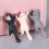 Cat Sucker Handyhalterung, 6 Stück, 6 cm, Multicolor 5