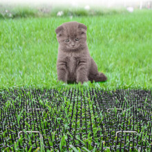 Alfombra disuasoria para gatos S 49x13x3 cm Metal+Plástico Púas