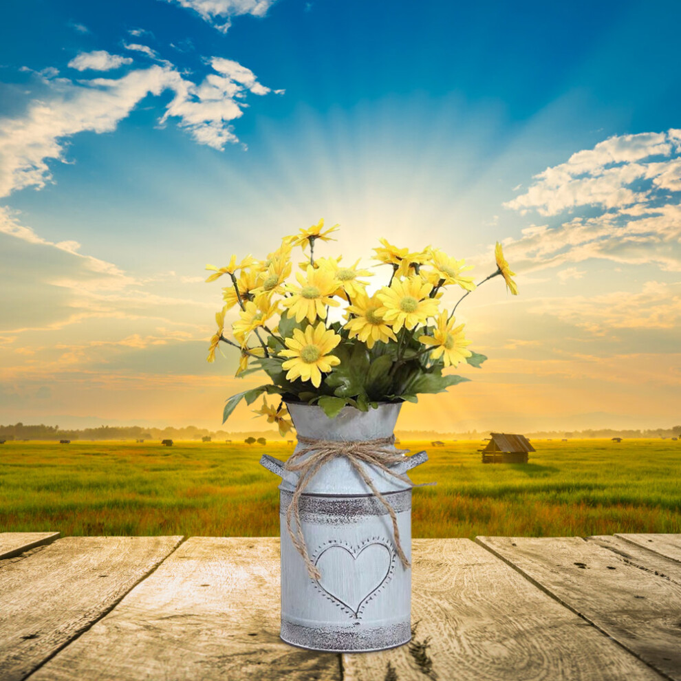 Vintage Flower Pot Iron Flower Pot Rustic Flower Bucket Metal Bucket Decorative Vase Pot for Garden Living Room Table Decoration-image-OPC-PHV8HJZ-NEW