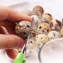 2PCS Stainless Steel Quail Egg Scissors Egg Shell Cutting Scissors Egg Divider Egg Opener Kitchen Gadget Kitchen Egg Scissors Tools