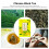 22 Stück Osmanthus Oolong Teebeutel, 66g Aromatischer Kräutertee 12