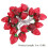 Erdbeer-Lichterkette 20LEDs 9.8ft Warm 3AA 10