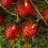 Erdbeer-Lichterkette 20LEDs 9.8ft Warm 3AA 8