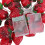 Erdbeer-Lichterkette 20LEDs 9.8ft Warm 3AA 11