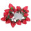 Erdbeer-Lichterkette 20LEDs 9.8ft Warm 3AA 1