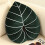 Turtle Back Bambusblatt PP-Baumwolle grün 52 x 48 cm 10