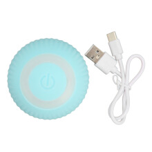 Wicked Ball Intelligentes Spielzeug 4cm/1.6in 80 mAh Blau/Grün