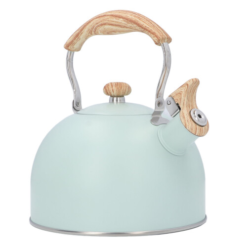 Hervidor de acero inoxidable verde de 2.5 L 24.8x19 cm 2
