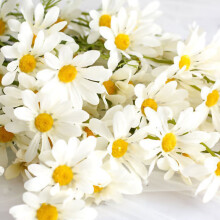 Milchweißes künstliches Gänseblümchen-Bouquet - Kunststoff