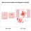 Wangenrouge 02 pfirsichrosa Etui feines Puder 7