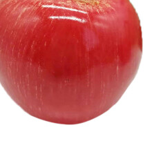 Artificial Fruit Simulation Model Foam Fake Fruit Kindergarten Teaching Aids Decorative Props Pink Apple