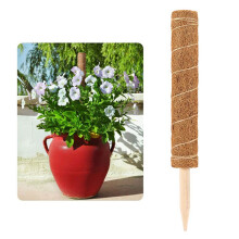 Kokosfaser-Moos-Pfahl Pflanzenstütze - Kokosnussschale, 50 cm
