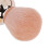 2 Stück Nagelstaubbürsten Roségold/Weiß 12