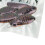 Dubia-Kakerlakenfutter vakuumverpackt 4