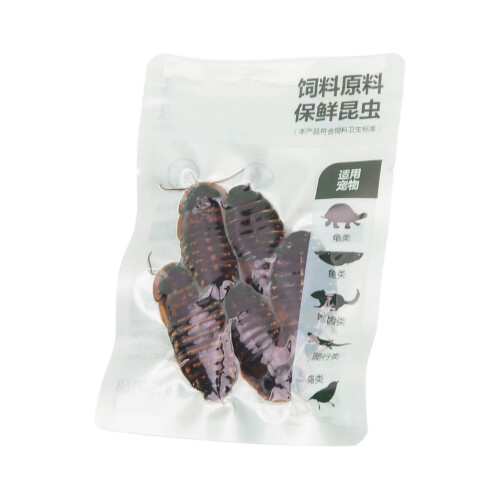 Dubia-Kakerlakenfutter vakuumverpackt 2
