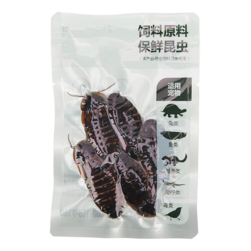 Dubia-Kakerlakenfutter vakuumverpackt 1