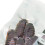 Dubia-Kakerlakenfutter vakuumverpackt 9