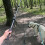 Flirt Pole Toy Multipurpose Retractable Training Interactive Toy Flirt Pole for Small Medium Large Dogs 8