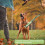Flirt Pole Toy Multipurpose Retractable Training Interactive Toy Flirt Pole for Small Medium Large Dogs 5
