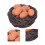 Harz 1:12 Puppenhaus-Nest mit Mini-Eiern 3,3  1,2 cm 14